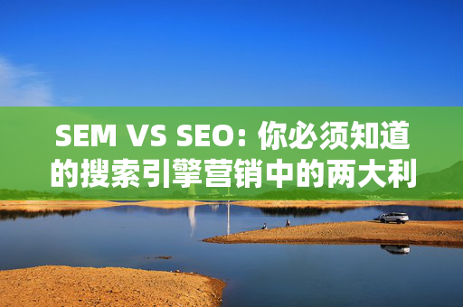 SEM VS SEO: 你必须知道的搜索引擎营销中的两大利器