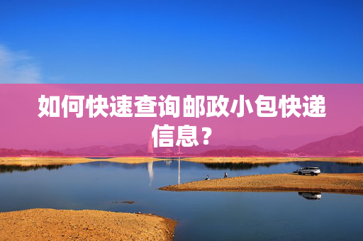 如何快速查询邮政小包快递信息？