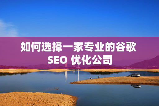 如何选择一家专业的谷歌 SEO 优化公司