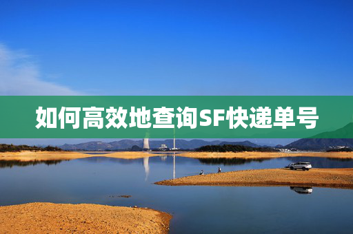 如何高效地查询SF快递单号