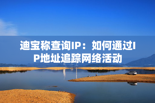 迪宝称查询IP：如何通过IP地址追踪网络活动