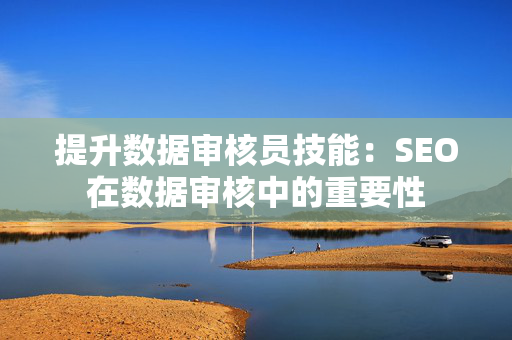 提升数据审核员技能：SEO在数据审核中的重要性