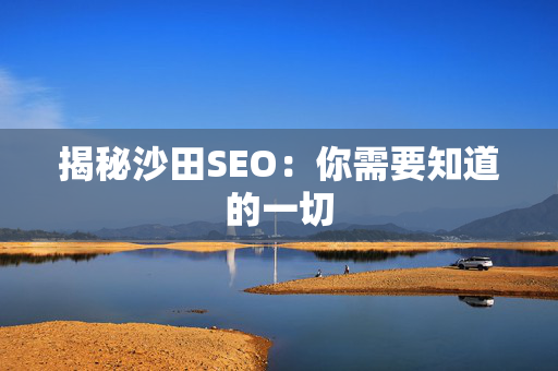 揭秘沙田SEO：你需要知道的一切