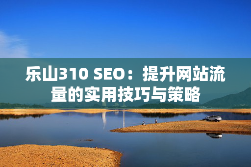 乐山310 SEO：提升网站流量的实用技巧与策略