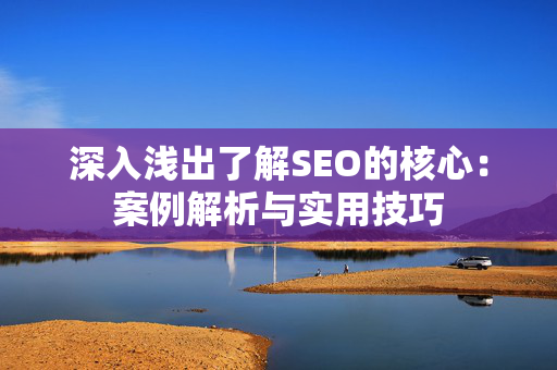 深入浅出了解SEO的核心：案例解析与实用技巧