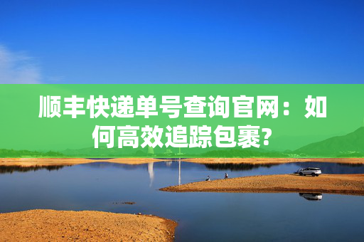 顺丰快递单号查询官网：如何高效追踪包裹?