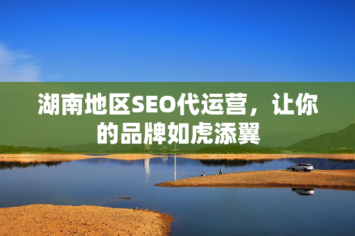 湖南地区SEO代运营，让你的品牌如虎添翼